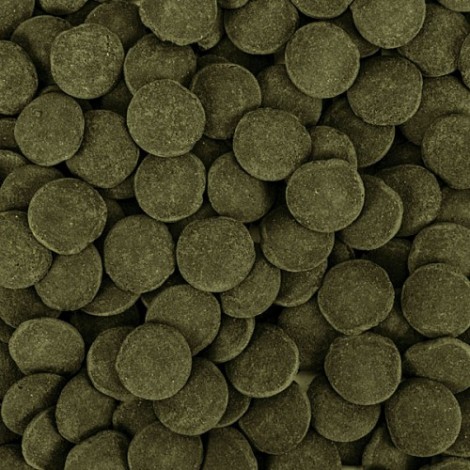 Tropical Hi-Algea Discs XXL 100 Gram Kovadan Bölme Yem