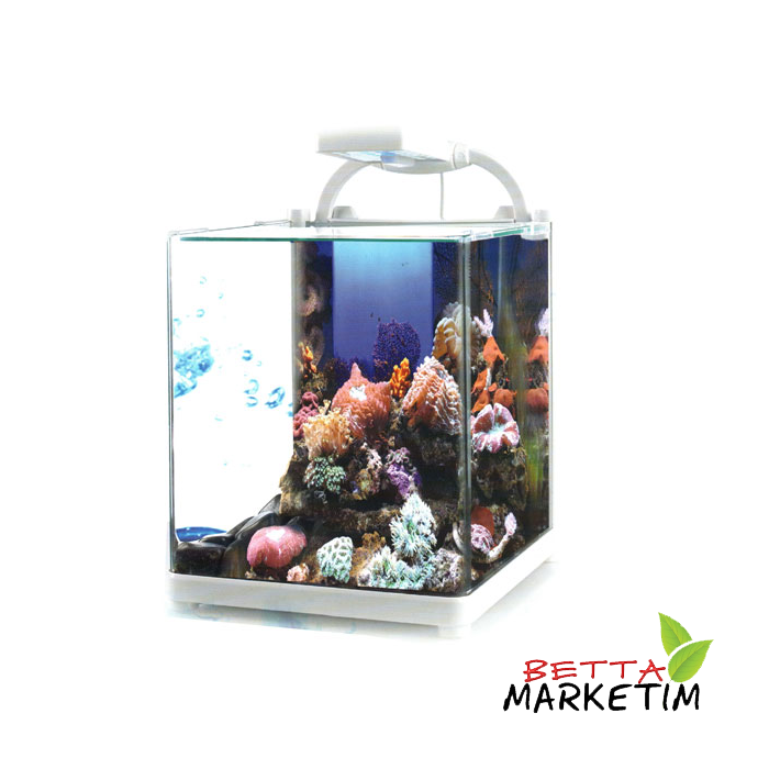 Chicos Nano Yüksek Dokunmatik Led Işık Akvaryum