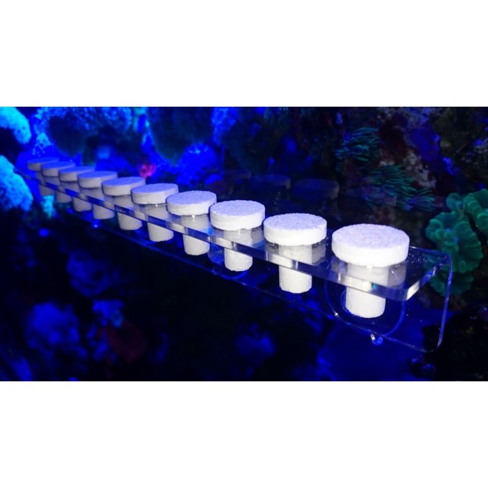 İsta Mercan Fraglama Tutucusu 10 Adet