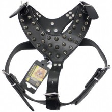 Doglife Gladyatör Dikenli Lüx Göğüs Tasması L Boy