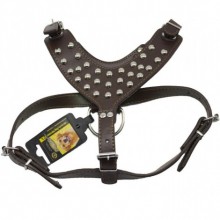 Doglife Gladyatör Desenli Lüx Göğüs Tasması XXL Boy