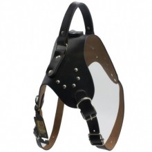 Doglife Lüx Desenli Deri Tutmatlı Köpek Sırt Tasması