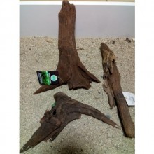 Mangrov Kütük XL Boy (35-40cm)