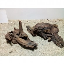 Mangrov Kütük XXL Boy (40-45cm)