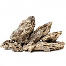 Dragon Stone Tasarım Kayası 1 KG
