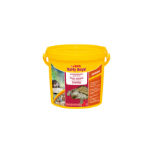 Sera raffy royal 50gr Kovadan Bölme Yem
