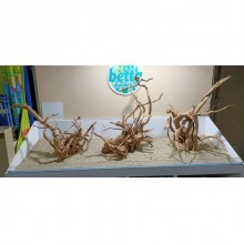 Red Moor Yati Kök / 6 Özel Tasarım Kütükler