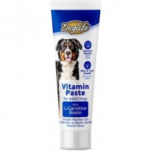 DOGLİFE YETİŞKİN KÖPEKLER İÇİN VİTAMİN PASTE 100ML