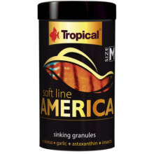 Tropical America Size M 100ml/56g