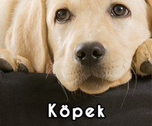 4'LÜ BANNER