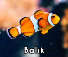 4'LÜ BANNER
