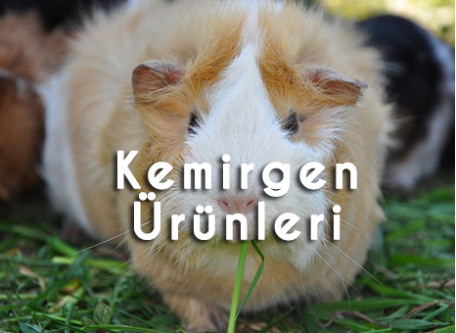 Kemirgen Ürünleri