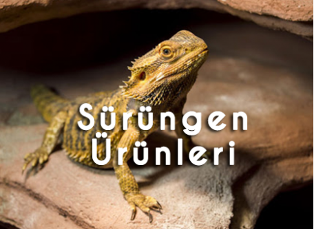 Sürüngen Ürünleri