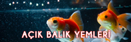 2'Lİ BANNER