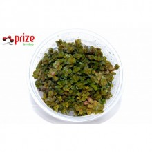 Rotala Macrandra Red - İn Vitro 120cc / Orta Plan ve Arka Plan Bitkisi