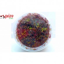 Rotala H'ra 100CC VİTRO / R12 Orta Plan ve Arka Plan Bitkisi