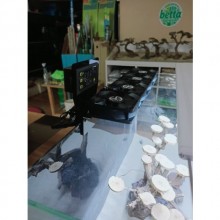 Soğutucu Fan Altılı Dijital Termostatlı (250-300 lt ye kadar)