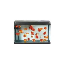 Aquasyncro Honor Akvaryum 101x43x60 Cm Ultra Clear Akvaryum Led Aydınlatmalı Filtreli /Mobilyasız