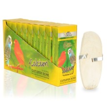 GWC Kutu Mürekkep Bal.Kemiği (Kalamar) 1 Adet