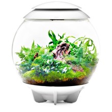 Oase biOrb Air 60 / Aydınlatmalı bitki teraryumu