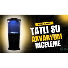 Boyu Zumbo Tatlı Su Akvaryum Seti Full Set 51x57x67cm (Mobilya dahil ) Uv Filtreli