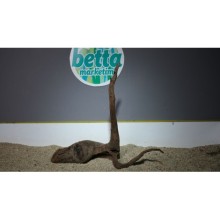 Premium Mangrow Kütük 56x48cm Ölçülerinde 2,648gr