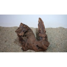Premium Mangrow Kütük 2- 22x27cm Ölçülerinde 1,414gr (Açıklamada Videolar Mevcut)