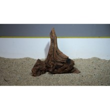 Premium Mangrow Kütük 5- 28x28cm Ölçülerinde 1,000gr (Açıklamada Videolar Mevcut)