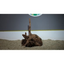 Premium Mangrow Kütük 7- 29x39cm Ölçülerinde 2,512gr (Açıklamada Videolar Mevcut)