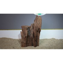 Premium Mangrow Kütük 8- 23x40cm Ölçülerinde 4,250gr (Açıklamada Videolar Mevcut)