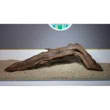 Premium Mangrow Kütük 9- 95x27cm Ölçülerinde 4,900gr (Açıklamada Videolar Mevcut)