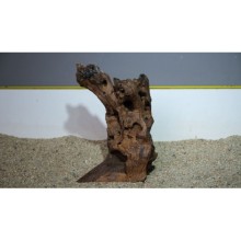 Premium Mangrov Kütük 11- 18x27cm Ölçülerinde 1,334gr (Açıklamada Videolar Mevcut)