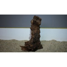 Premium Mangrov Kütük 17- 22x33cm Ölçülerinde 2,740gr (Açıklamada Videolar Mevcut)