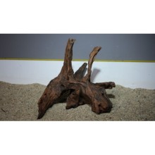 Premium Mangrov Kütük 19- 37x33cm Ölçülerinde 2,784gr (Açıklamada Videolar Mevcut)