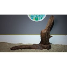 Premium Mangrov Kütük 21- 58x49cm Ölçülerinde 3,482gr (Açıklamada Videolar Mevcut)