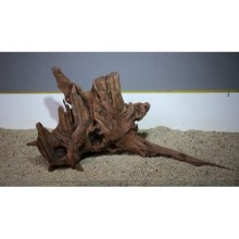 Premium Mangrov Kütük 22- 67x32cm Ölçülerinde 6,018gr (Açıklamada Videolar Mevcut)