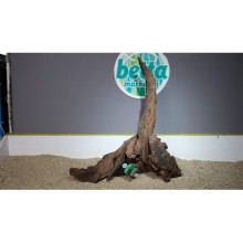 Premium Mangrov Kütük 27- 53x60cm Ölçülerinde 6,839gr (Açıklamada Videolar Mevcut)
