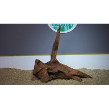 Premium Mangrow Kütük 26- 48x48cm Ölçülerinde 3,198gr (Açıklamada Videolar Mevcut)