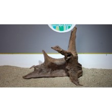 Premium Mangrov Kütük 29- 50x44cm Ölçülerinde 7,162gr (Açıklamada Videolar Mevcut)