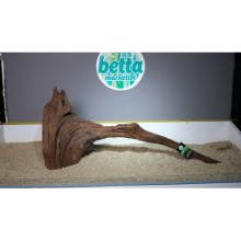 Premium Mangrov Kütük 30- 97x42cm Ölçülerinde 6,000gr (Açıklamada Videolar Mevcut)
