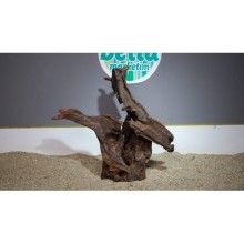 Premium Mangrov Kütük 37- 48x45cm Ölçülerinde 4,318gr (Açıklamada Videolar Mevcut)
