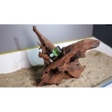 Premium Mangrov Kütük 42 - 39x39cm Ölçülerinde 6,264gr (Açıklamada Videolar Mevcut)