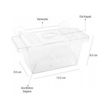 ATLANTİK KRİSTAL YAVRULUK - TEKLİ