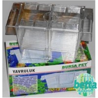 Bursapet  İkili Yavruluk