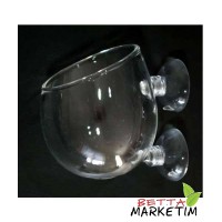 Akvaryum İçi Cam Bitki Saksısı