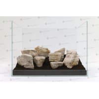 Goby Kayası 5kg Akvaryum Tasarım Kayası