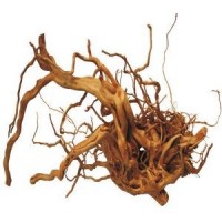 Chicos Akvaryum İçin Dekoratif Çöl Kütüğü 10 Kg