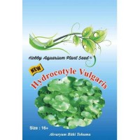 Hydrocotyle Vulgaris Akvaryum Bitki Tohumu 16 Adet