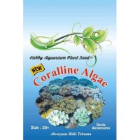 Coralline Algae Deniz Akvaryum Bitki Tohumu 20 Adet