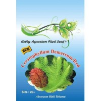 Ceratophyllum Demersum Red Akvaryum Bitki Tohumu 20 Adet